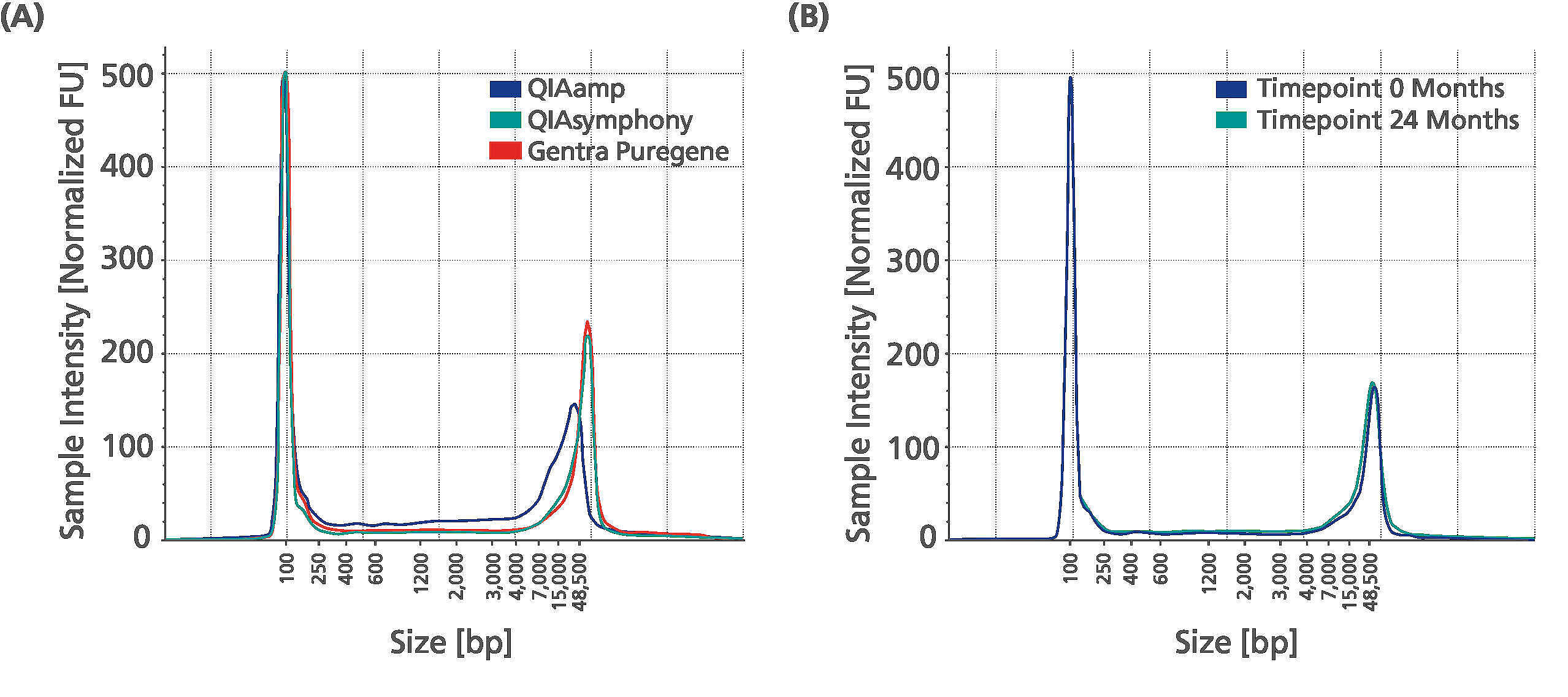 Graphs depict a representative result from one donor each. A. Saliva was collected from healthy donors into PAXgene Saliva Collectors. gDNA was extracted from the stabilized saliva using QIAamp DNA Mini Kit (blue), QIAsymphony DNA Midi Kit* (green) and Puregene Cell Kit (red). 20 ng of each of the obtained gDNA samples were analyzed with the 4200 Agilent TapeStation System using Genomic DNA Screen Tapes.  
B. Saliva was collected from healthy donors into PAXgene Saliva Collectors. gDNA was extracted from 200 µl stabilized saliva using Puregene Cell Kit directly after stabilization (Timepoint 0 months [blue]) and after 24 months storage at room temperature (15-25°C) (Timepoint 24 months [green]). 20 ng of the obtained gDNA samples were analyzed with the 4200 Agilent TapeStation System using Genomic DNA Screen Tapes. 
* QIAGEN QIAsymphony DNA Midi Kit is not available in all countries. For further details please contact QIAGEN Technical Service 
