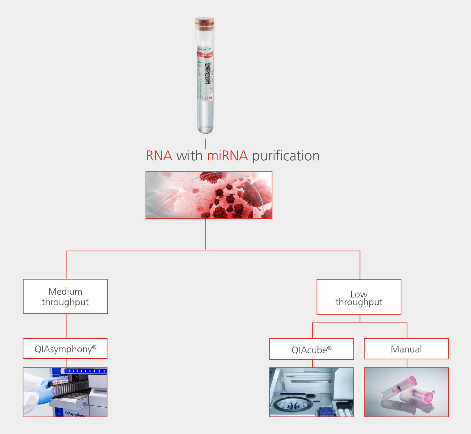 * The PAXgene Blood RNA System is available for IVD use only when the PAXgene Blood RNA. Tube (762165) is used in combination with the PAXgene Blood RNA Kit (762164 or 762174)