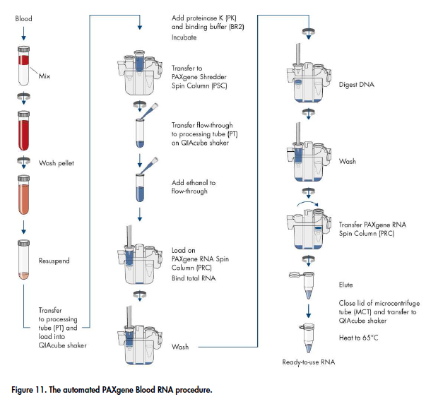 PAXgene Blood RNA Kit (IVD) FDA