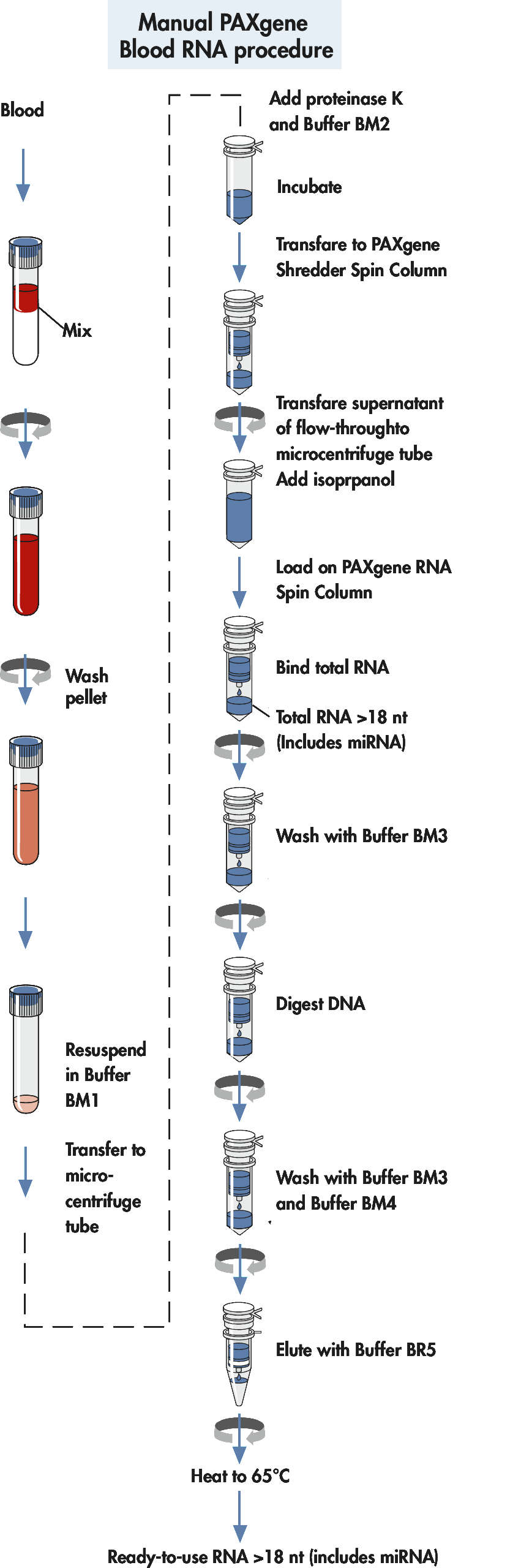 PAXgene Blood RNA Kit (IVD) CE
