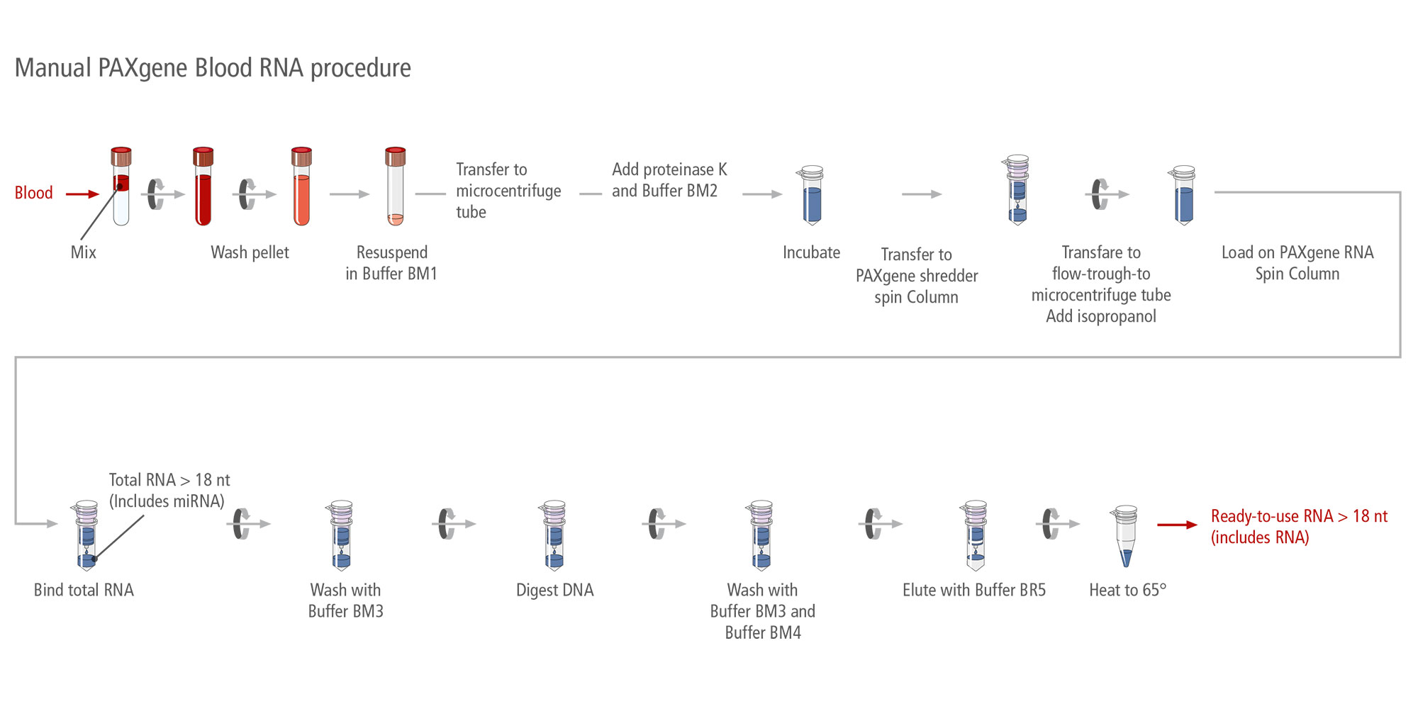 PAXgene Blood RNA Kit (IVD) CE according to EU IVDR 2017/746