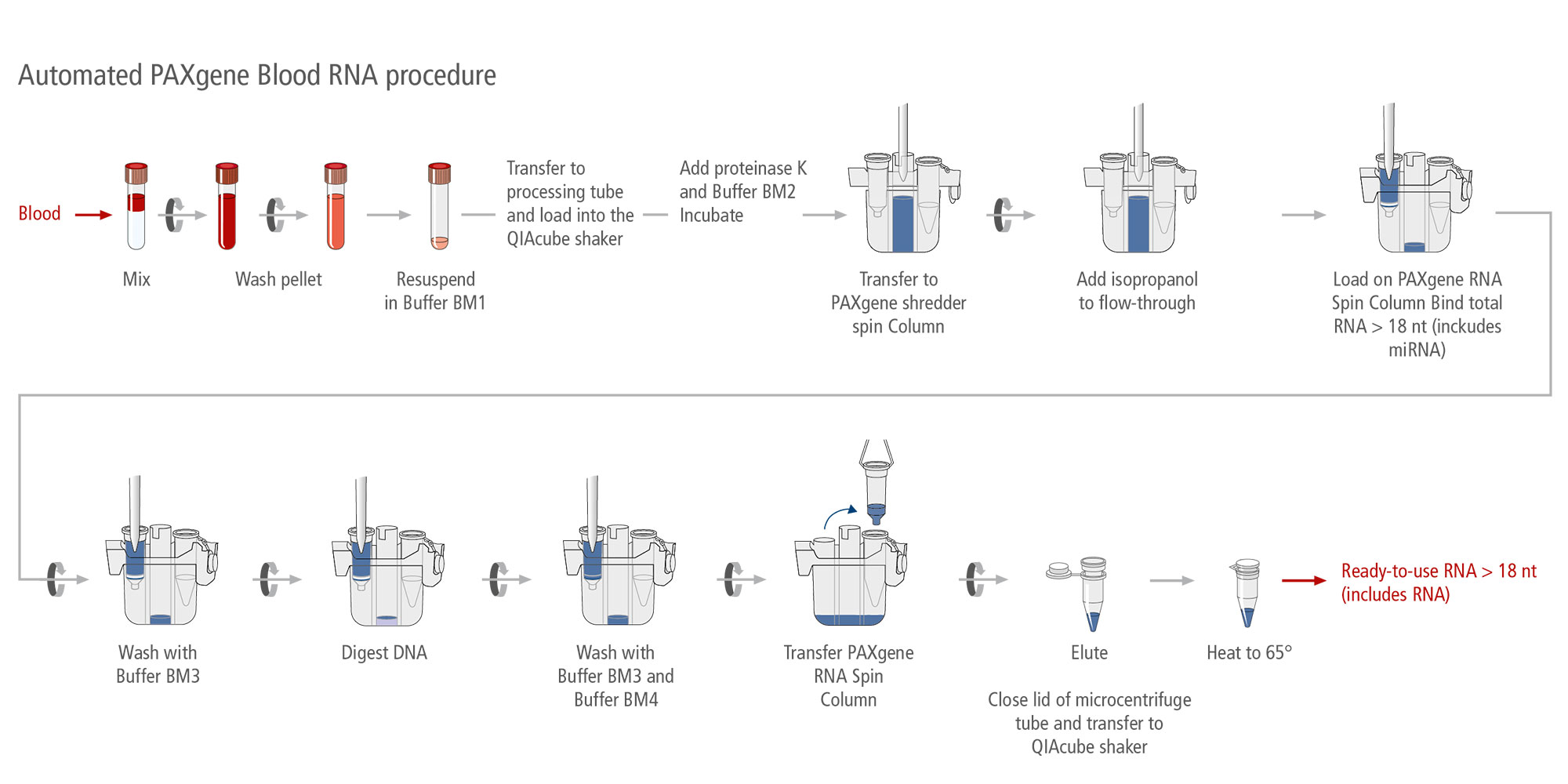 PAXgene Blood RNA Kit (IVD) CE according to EU IVDR 2017/746