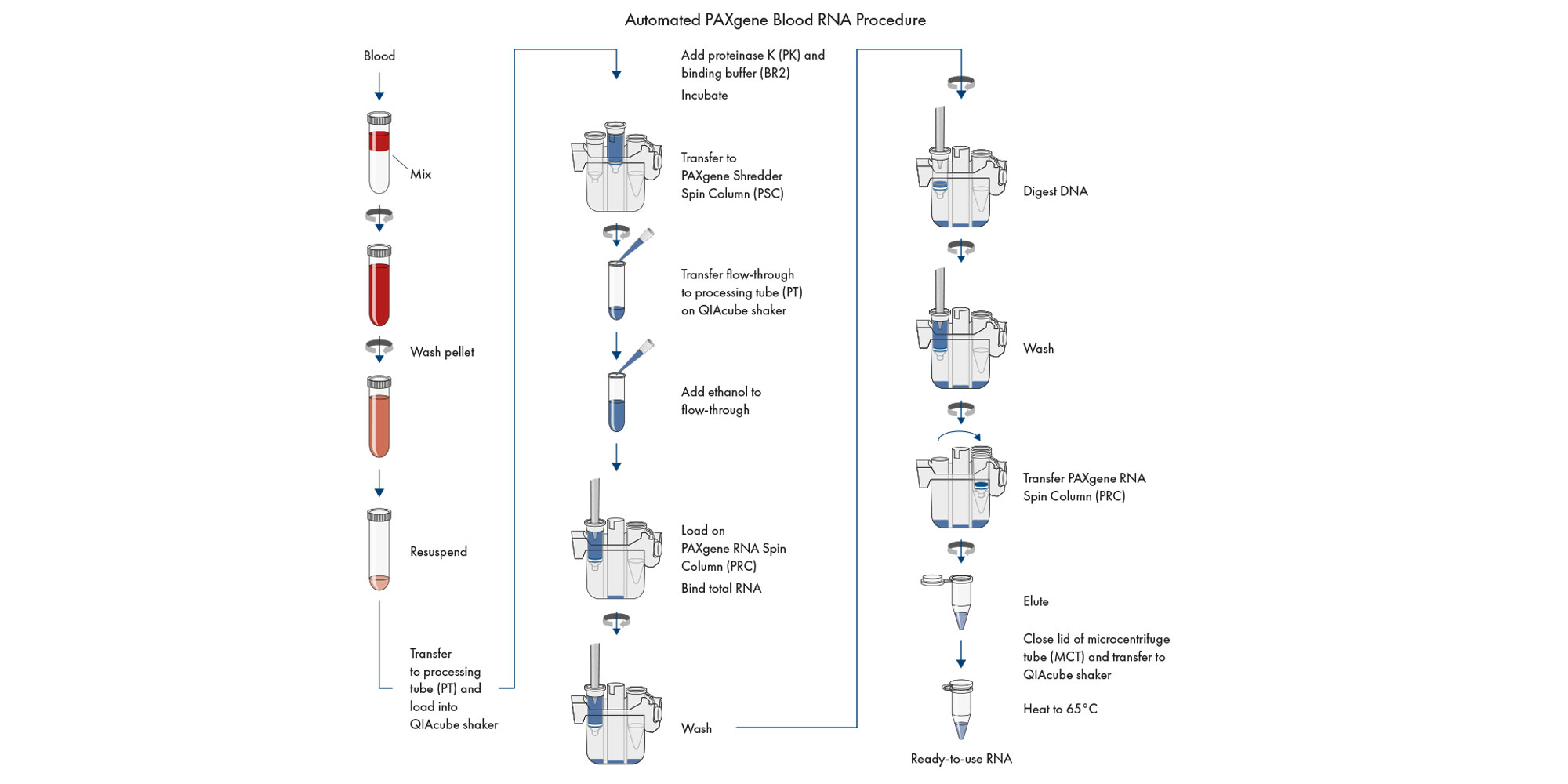 The PAXgene Blood RNA procedure begins with a centrifugation step to pellet nucleic acids in the PAXgene Blood RNA Tube. The pellet is washed and resuspended, followed by automated RNA purification.