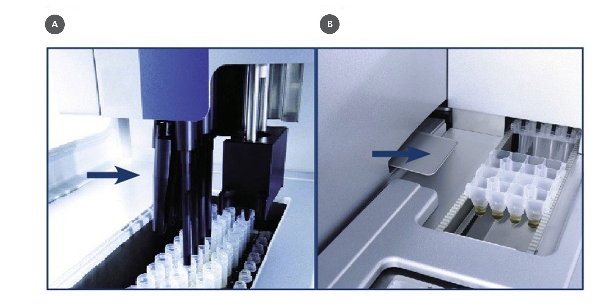 Tip guards minimize the risk of sample-to-sample cross-contamination. [A] Pipetting channels. [B] Extractor unit.