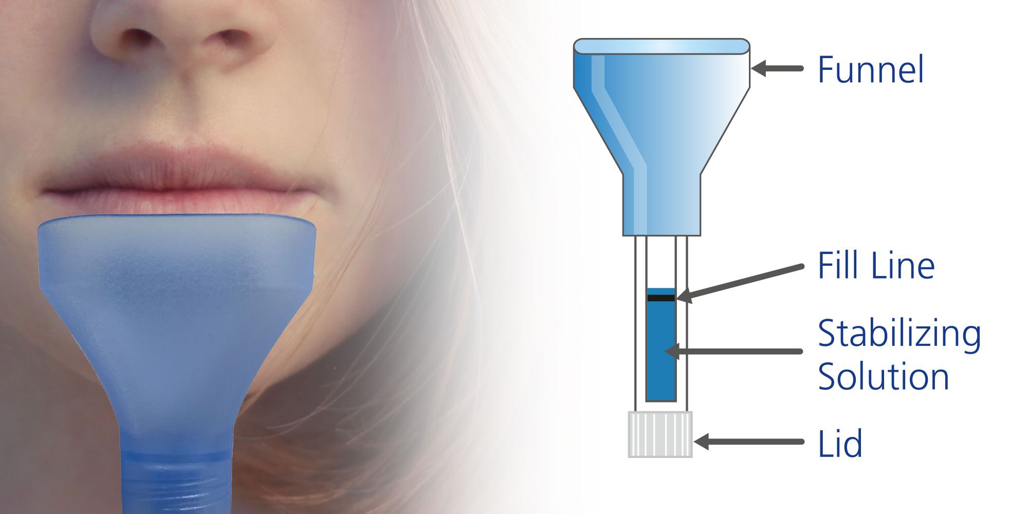 The device consists of a collection funnel attached to a collection tube and a lid. The collection tube is prefilled with stabilizing solution.