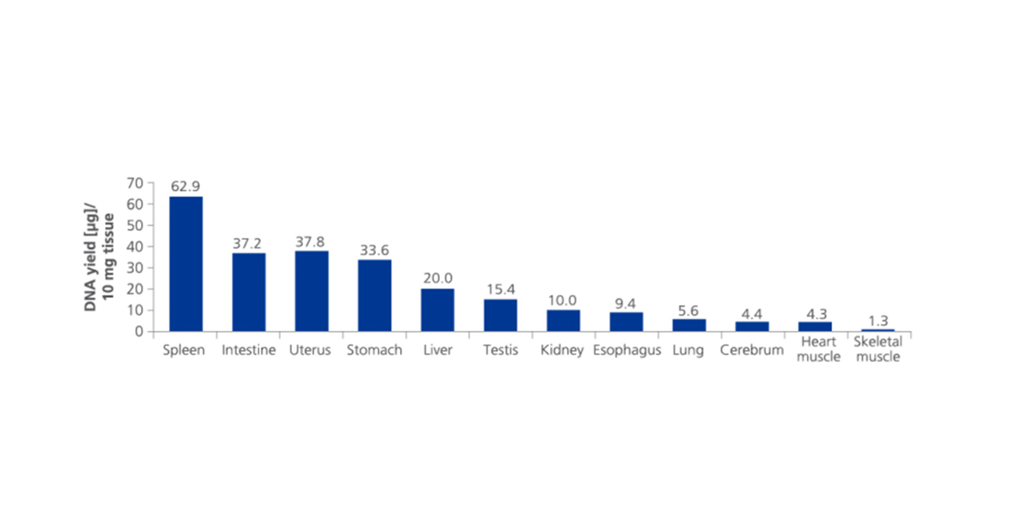 PAXgene Tissue fixed (PF) tissue types, processed on the QIAcube. Twelve different PAXgene Tissue-fixed (PF) rat tissue types, including fibrous or fatty, DNA-rich and DNA-poor tissue, processed with the PAXgene Tissue DNA Kit on the QIAcube in one single run. DNA yield per 10 mg tissue.
