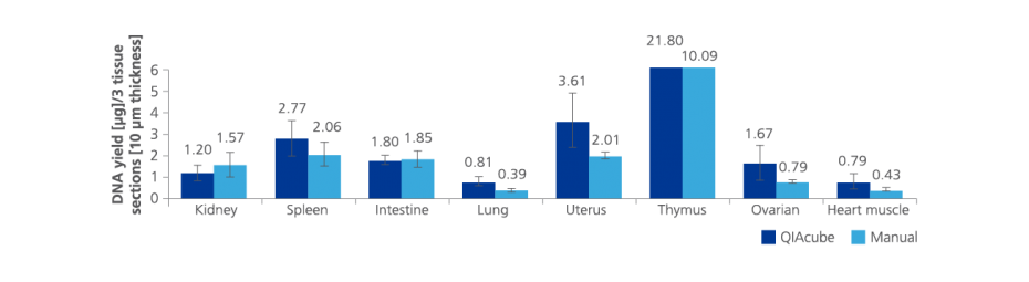DNA yield from 3 sections (thickness 10 µm) each of 8 different PAXgene Tissue-fixed, paraffin-embedded (PFPE) rat tissue types processed in triplicate with the PAXgene Tissue DNA Kit on the QIAcube or manually.