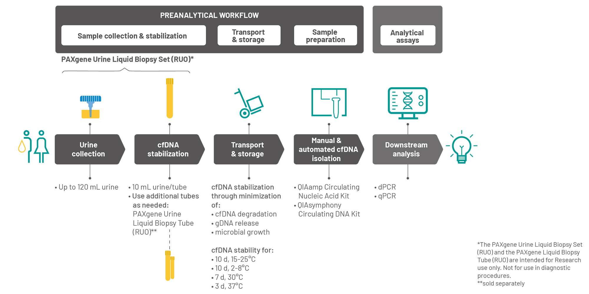 The PAXgene Urine Liquid Biopsy Set is part of a complete preanalytical workflow for molecular testing