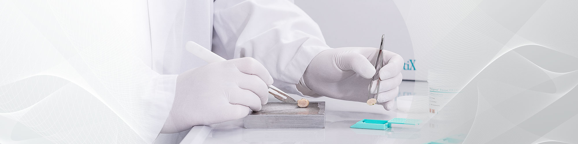 lab worker fixing tissue sample