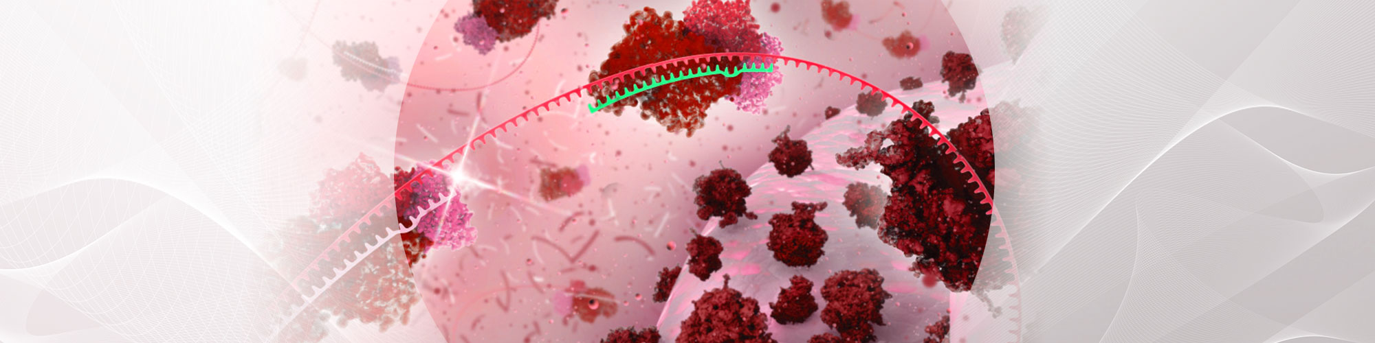 microRNA particles in blood