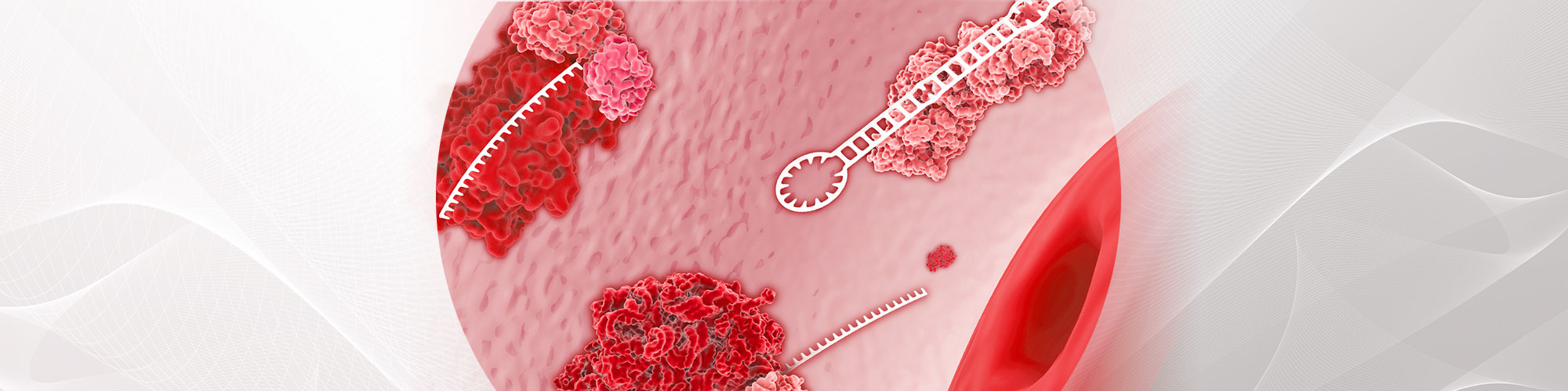 RNA parts flowing in blood cells