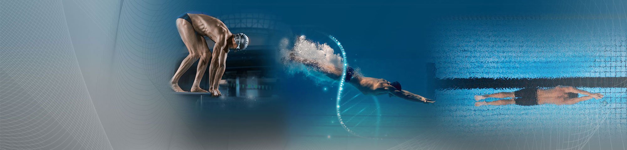 Swimmer deep dive into DNA