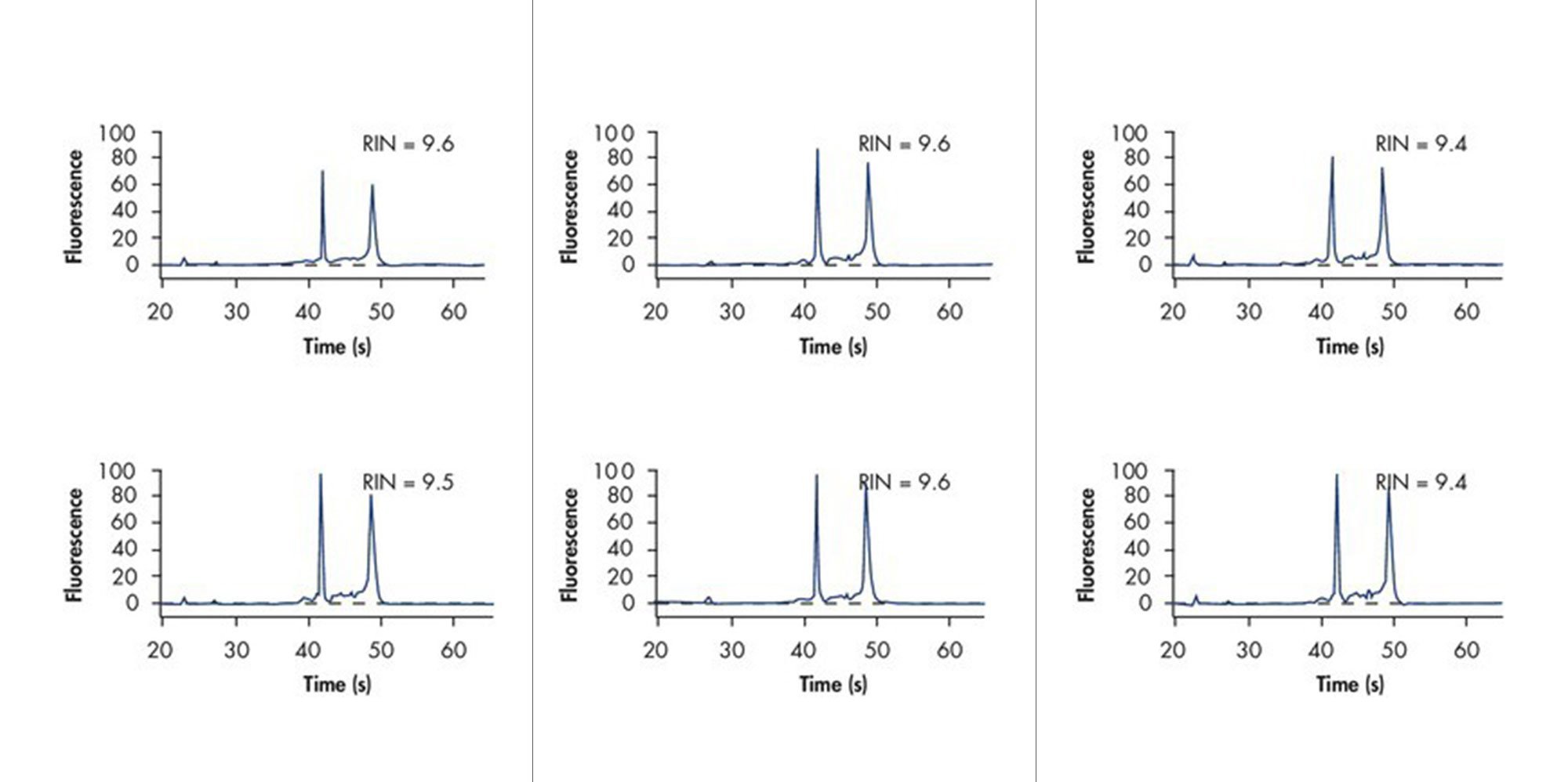 Bone marrow samples were collected in duplicate and stabilized in PAXgene Bone Marrow RNA Tubes. RNA was purified from the samples using the PAXgene Bone Marrow RNA Kit with no storage or after 5 days storage at 2–8°C. RNA integrity was evaluated using the RNA integrity numbers (RIN), measured on the Agilent 2100 Bioanalyzer. Results are shown for 3 representative donors. The RIN did not change significantly during storage, indicating that the RNA remains stable in the sample.