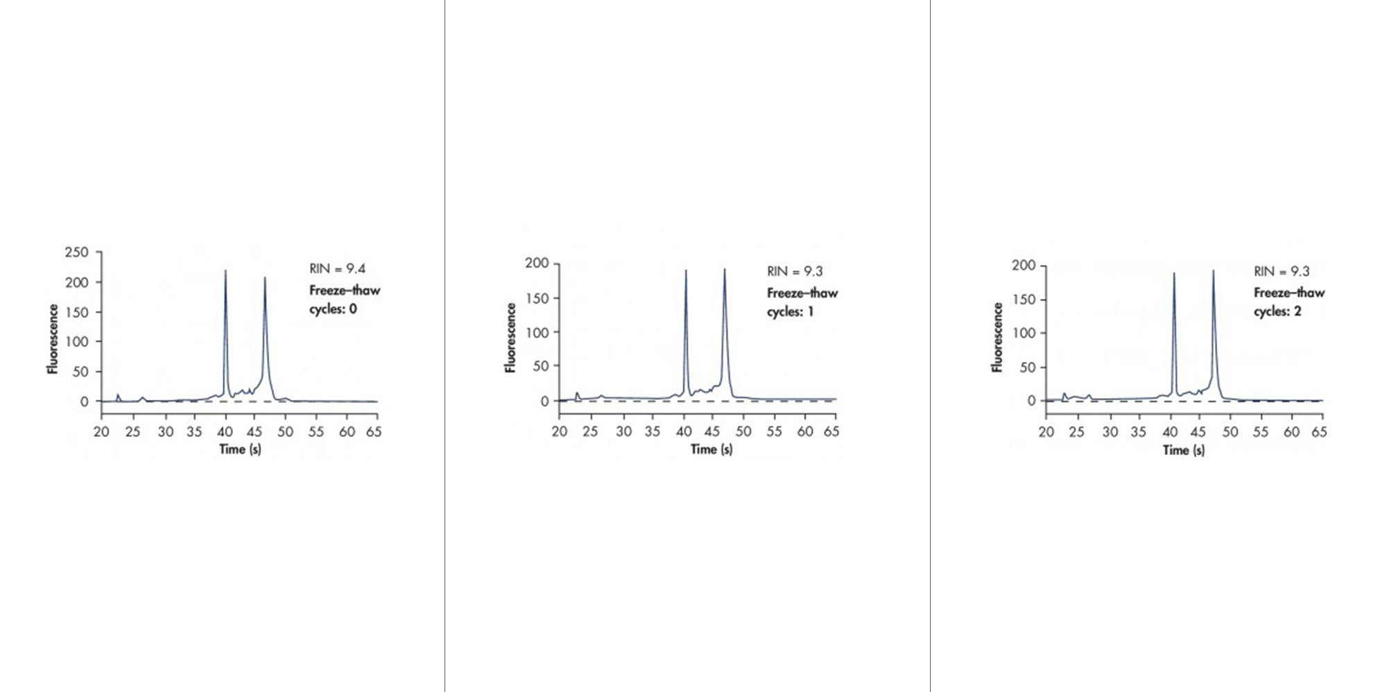 Bone marrow samples were stabilized in PAXgene Bone Marrow RNA Tubes, and RNA was purified using the PAXgene Bone Marrow RNA Kit after the indicated number of freeze–thaw cycles. The RIN values did not change significantly, indicating that RNA remained intact in the samples for up to 2 freeze–thaw cycles.