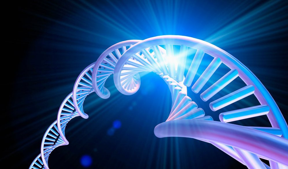 DNA strand